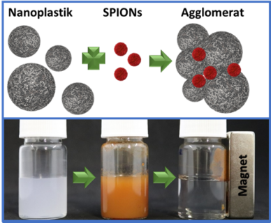 Diagram of nanoplastic particles with SPIONs and agglomerates (above). Photos of magnetic removal – left: nanoplastic dispersion; middle: after adding SPIONs and right: after fitting a magnet (adapted from MatToday).