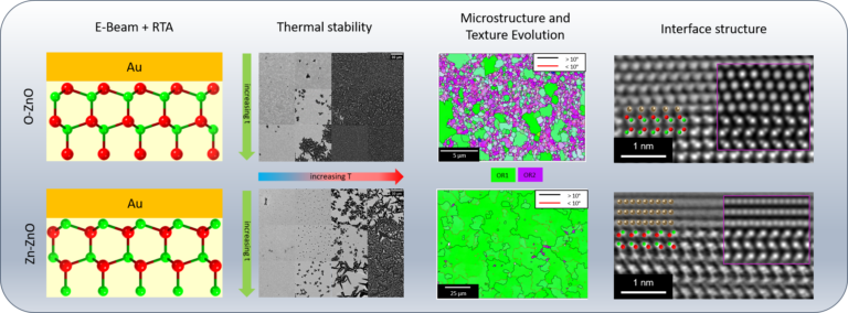 IMN/CENEM researchers unravel the influence of substrate polarity on metal thin film growth characteristics through correlation of electron microscopies, X-ray diffraction and density functional theory